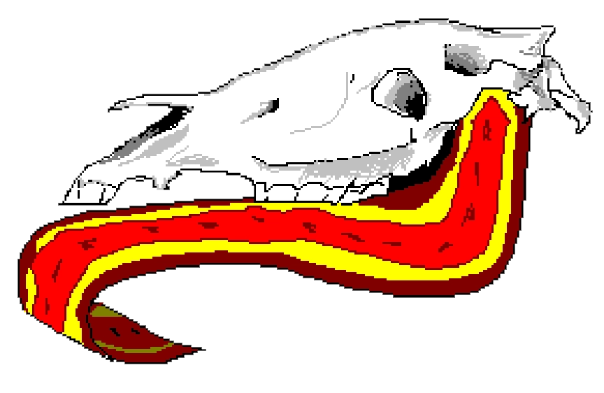 carpetjaw